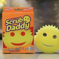 Looking-for-Scrub-Daddy-net-worth