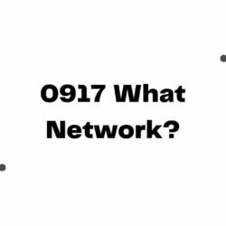 0917 What Network-min