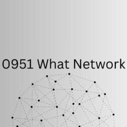 0951 What Network-min