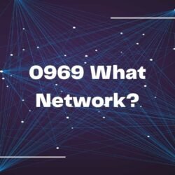 0969 What Network-min