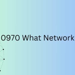 0970 What Network-min