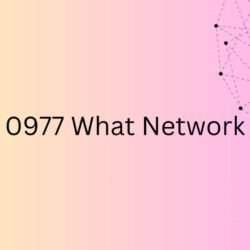 0977 What Network-min