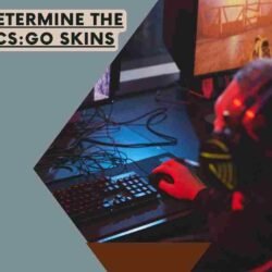 How to Determine the Value of CSGO Skins