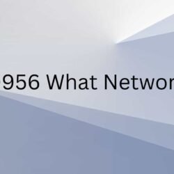 0956 What Network-min