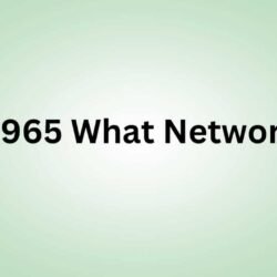 0965 What Network-min