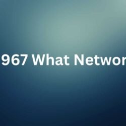 0967 What Network-min