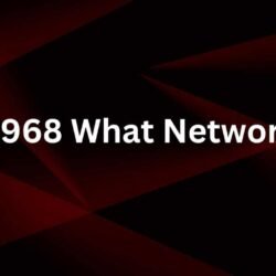 0968 What Network-min