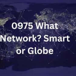 0975 What Network Smart or Globe-min