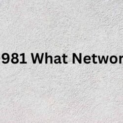 0981 What Network-min