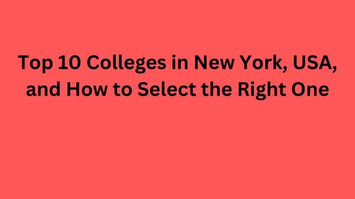 Top 10 Colleges in New York